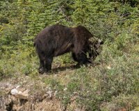 DSC01518.jpg DSC01518.jpg