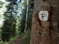 Box Elder and GWT Wasatch South 194.JPG