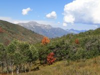 Box Elder and GWT Wasatch South 195.JPG