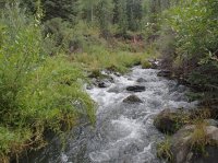 Box Elder and GWT Wasatch South 258.JPG