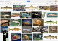 Screen Shot 2013-09-08 at 10.15.50 PM.png