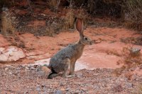 IMG_2723.JPG IMG_2723.JPG