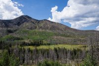 Lingering Effects of Fire.jpg