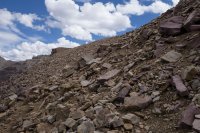 Not Much of a Trail.jpg