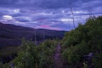 Nearing the Finish.jpg