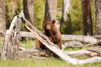 DSC_0071.JPG DSC_0071.JPG