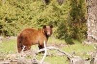 DSC_0066.JPG DSC_0066.JPG