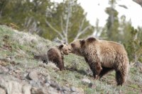 DSC_0232.JPG DSC_0232.JPG