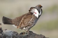 DSC_0398.JPG DSC_0398.JPG