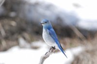 DSC_0084.JPG DSC_0084.JPG