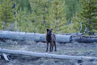 DSC_0234.JPG DSC_0234.JPG