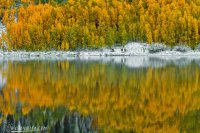 IMG_5357.jpg IMG_5357.jpg