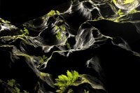 18-carved-canyon-walls-670.jpg 18-carved-canyon-walls-670.jpg