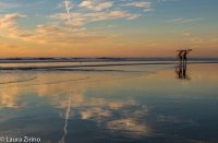 Torrey Pines 2 Surfers.jpg