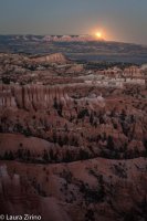 Harvest Moon Vertical.jpg