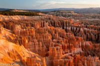 Obligatory Insp Pt.jpg