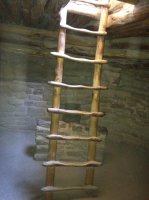 IMG_0667.JPG IMG_0667.JPG