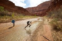 isnt-that-swell-2.jpg isnt-that-swell-2.jpg