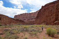 isnt-that-swell-3.jpg isnt-that-swell-3.jpg