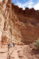 isnt-that-swell-4.jpg isnt-that-swell-4.jpg