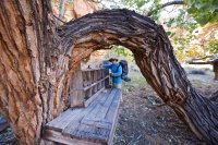 isnt-that-swell-18.jpg isnt-that-swell-18.jpg