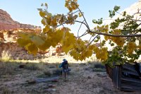 isnt-that-swell-20.jpg isnt-that-swell-20.jpg