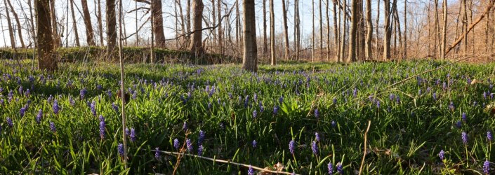 0O7A1626.JPG 0O7A1626.JPG