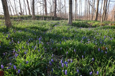 0O7A1633.JPG 0O7A1633.JPG