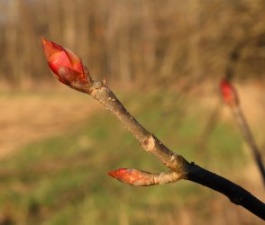 0O7A1637.JPG 0O7A1637.JPG