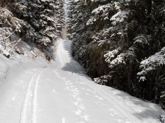 P1010388-copy-2.jpg P1010388-copy-2.jpg