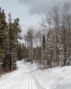 P1010399-copy-2.jpg P1010399-copy-2.jpg