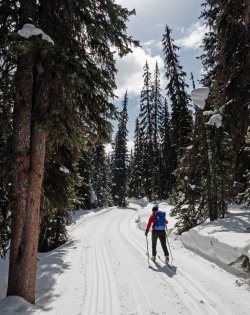 P1010400-copy-2.jpg P1010400-copy-2.jpg