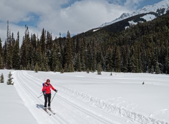 P1010406-copy-2.jpg P1010406-copy-2.jpg