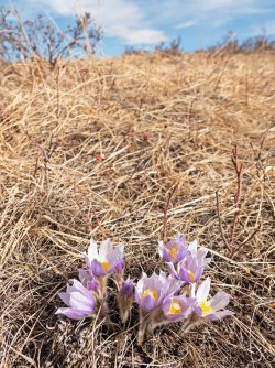 P1010436-copy-2.jpg P1010436-copy-2.jpg