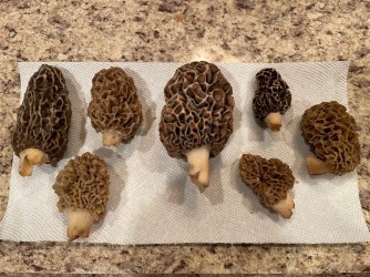 thumbnail_IMG_0524.jpg thumbnail_IMG_0524.jpg