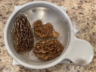 thumbnail_IMG_0525.jpg thumbnail_IMG_0525.jpg