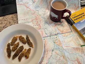 thumbnail_IMG_0538.jpg thumbnail_IMG_0538.jpg