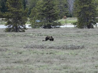 DSC_1761.JPG DSC_1761.JPG