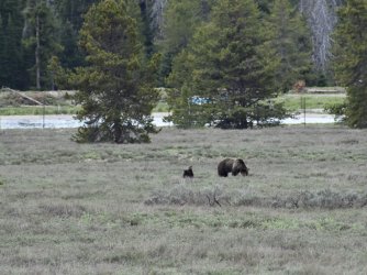 DSC_1753.JPG DSC_1753.JPG