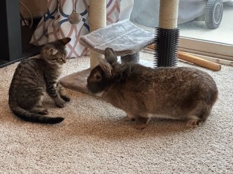 IMG_4704.jpg IMG_4704.jpg