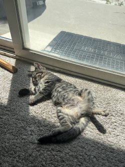 IMG_4707.jpg IMG_4707.jpg