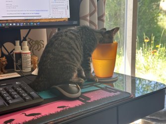 IMG_4709.jpg IMG_4709.jpg