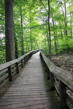 0O7A9897.JPG 0O7A9897.JPG