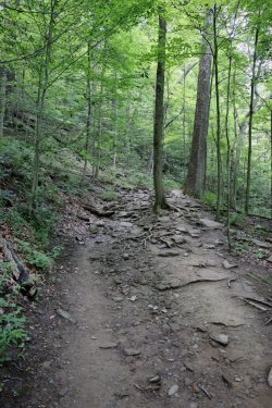 0O7A9918.JPG 0O7A9918.JPG