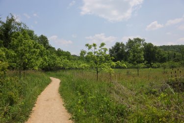 0O7A9926.JPG 0O7A9926.JPG