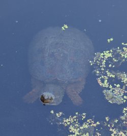 0O7A9953.JPG 0O7A9953.JPG