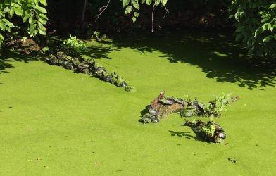 0O7A9957.JPG 0O7A9957.JPG