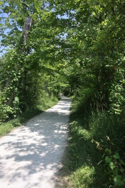 0O7A9979.JPG 0O7A9979.JPG