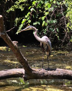 0O7A9989.JPG 0O7A9989.JPG