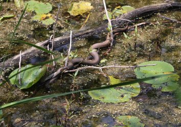 0O7A9994.JPG 0O7A9994.JPG